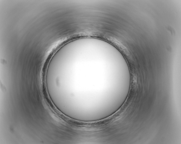 X0000091360678200708101055