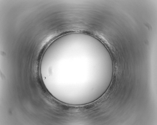 X0000091360679200708101055