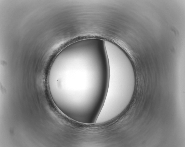 X0000091360680200708101055