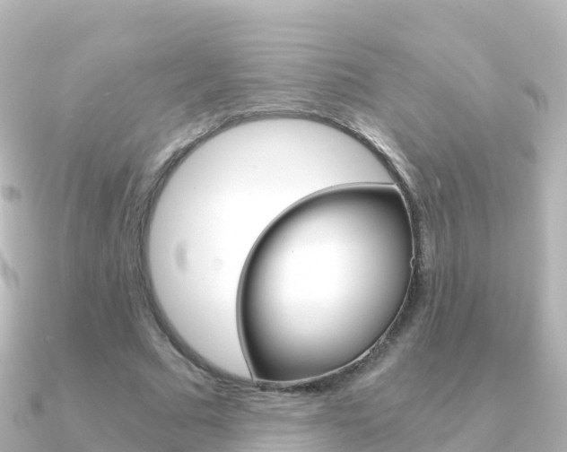 X0000091360681200708101055
