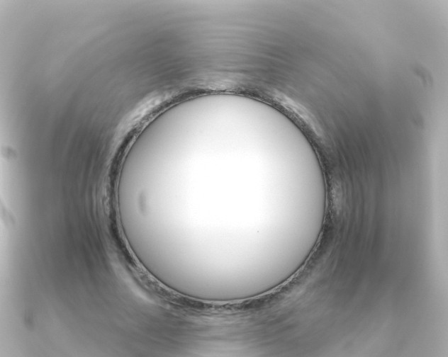 X0000091360682200708101055