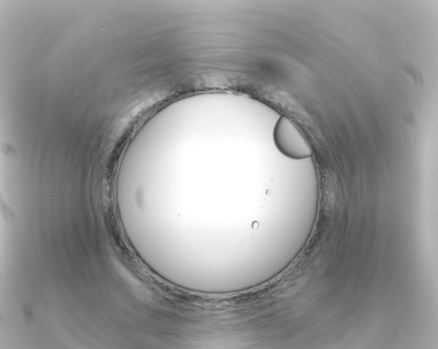 X0000091360683200708101055
