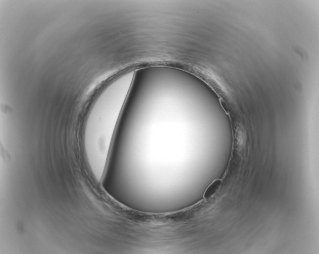 X0000091360684200708101055