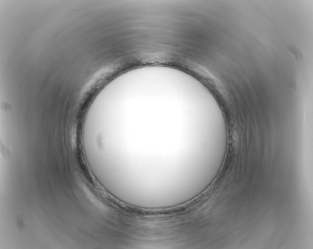 X0000091360686200708101055