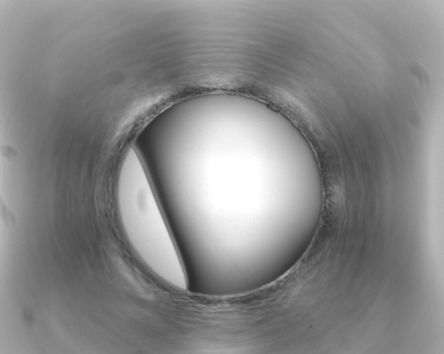 X0000091360688200708101055