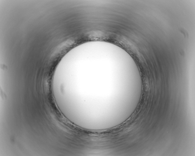 X0000091360690200708101055