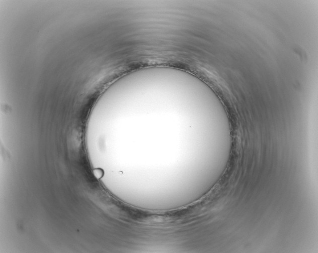 X0000091360691200708101055
