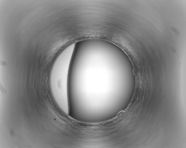 X0000091360692200708101055