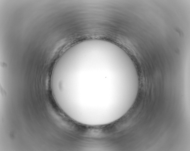 X0000091360694200708101055