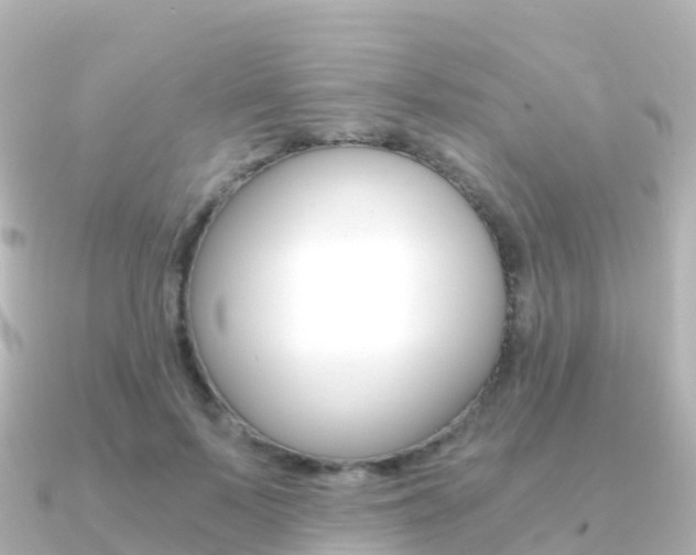 X0000091360695200708101055