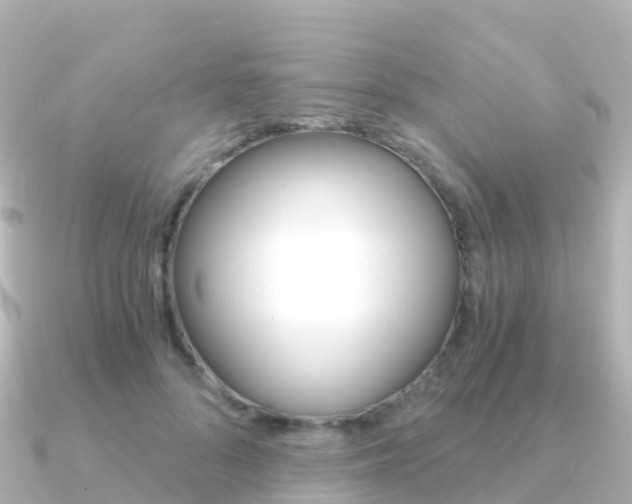 X0000091360696200708101055