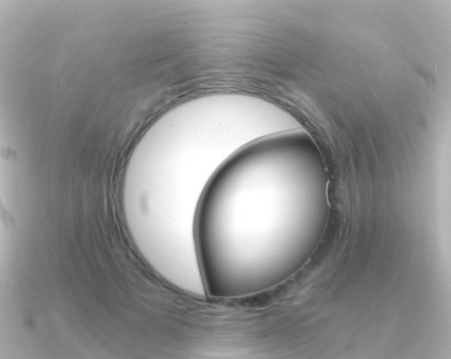 X0000091360697200708101055