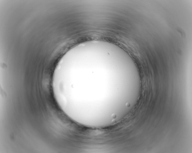 X0000091360698200708101055