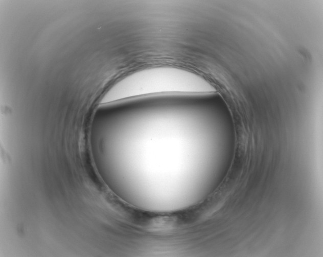 X0000091360700200708101055
