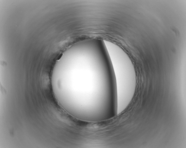 X0000091360704200708101055