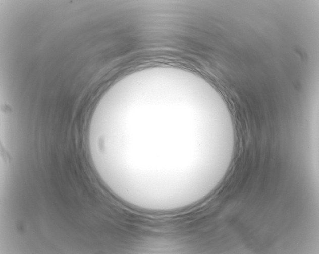 X0000091360705200708101055