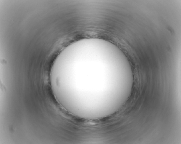 X0000091360706200708101055