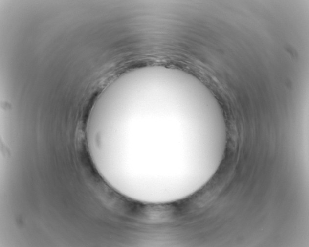 X0000091360707200708101055