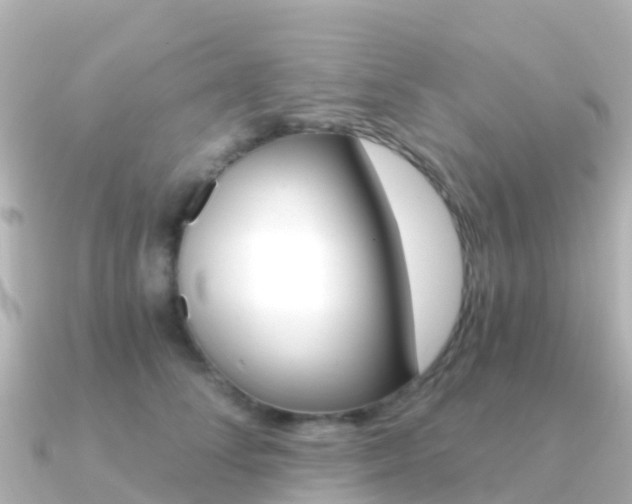 X0000091360708200708101055