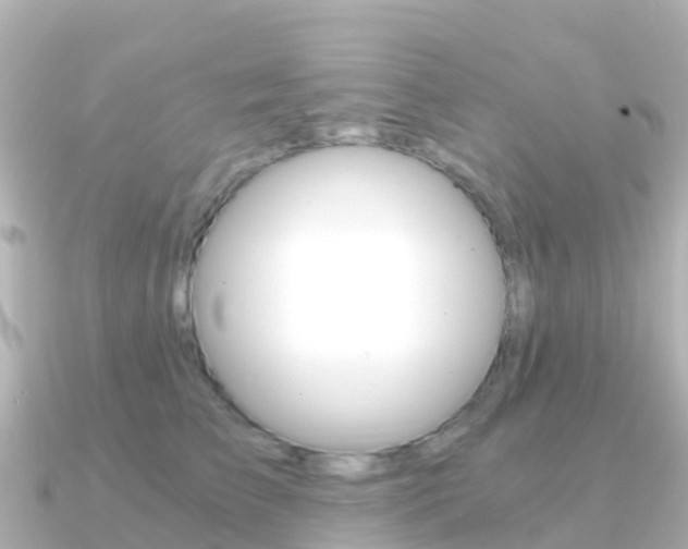 X0000091360709200708101055