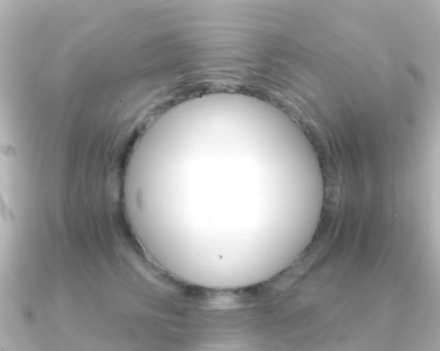 X0000091360710200708101055