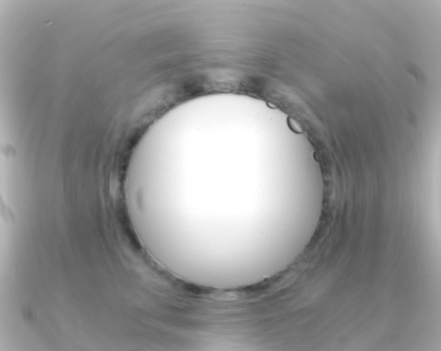 X0000091360711200708101055