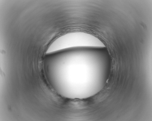 X0000091360712200708101055