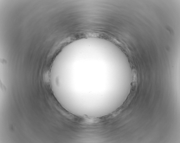 X0000091360713200708101055