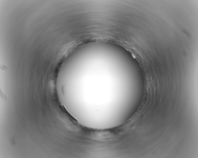 X0000091360716200708101055