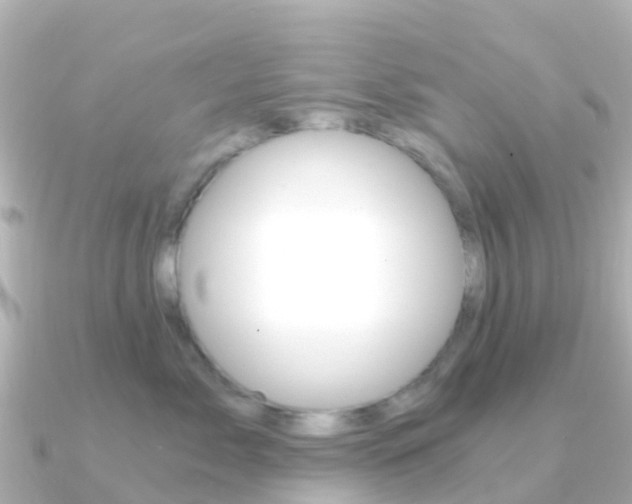 X0000091360717200708101055