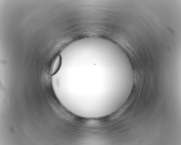 X0000091360718200708101054