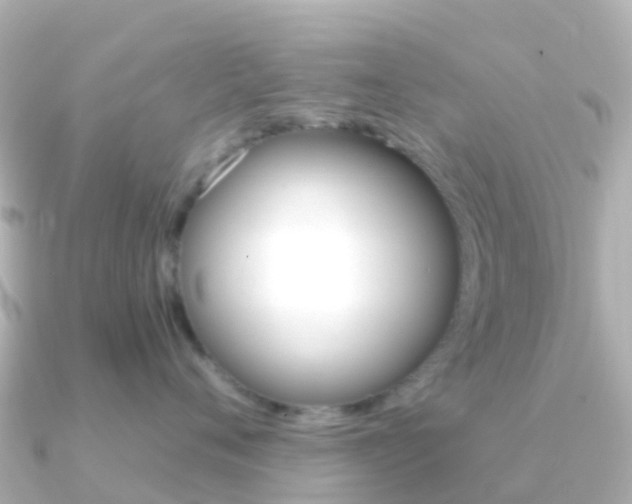 X0000091360720200708101054
