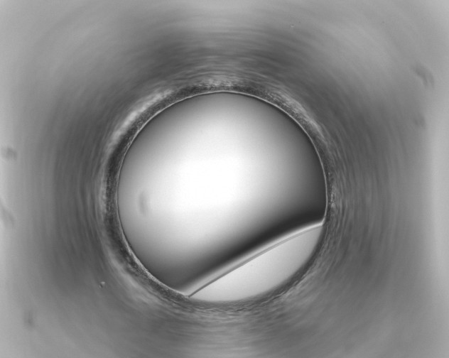 X0000091360722200708101054