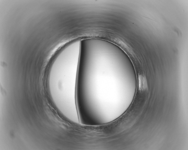 X0000091360723200708101054