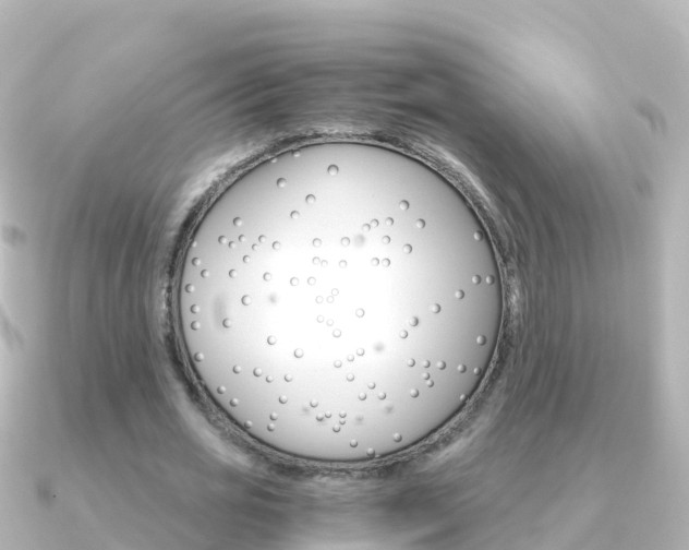 X0000091360725200708101054