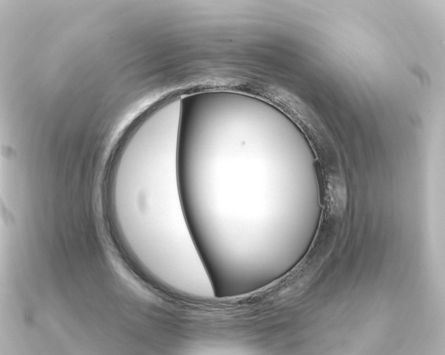 X0000091360726200708101054