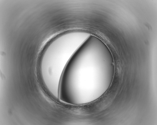 X0000091360728200708101054