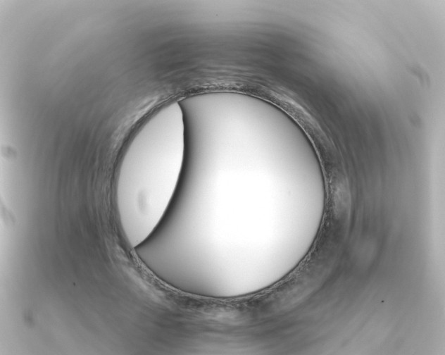 X0000091360729200708101054