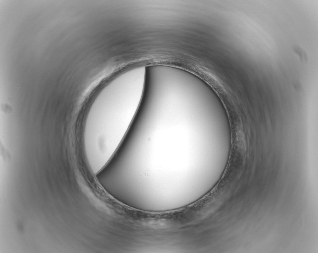 X0000091360730200708101054