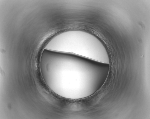 X0000091360731200708101054