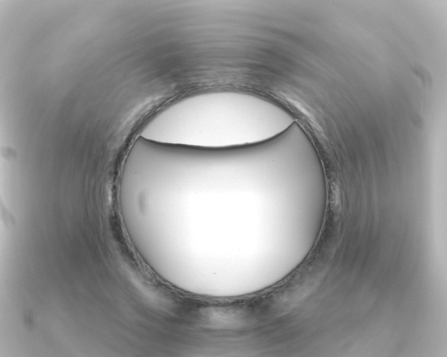 X0000091360733200708101054
