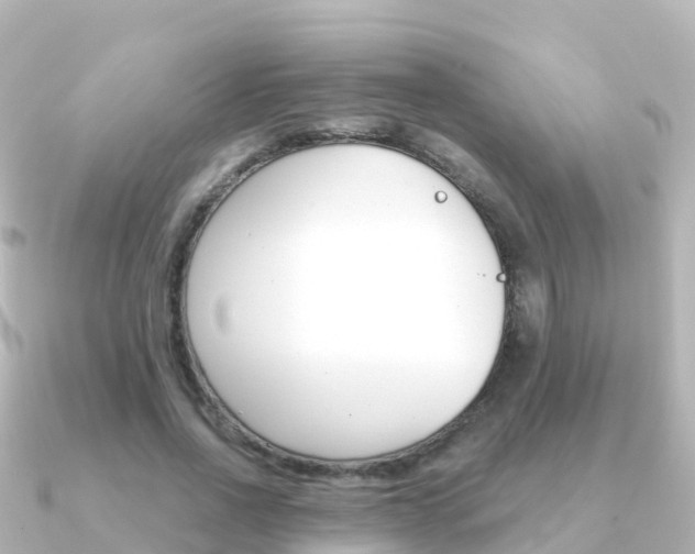 X0000091360734200708101054