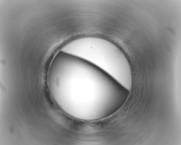 X0000091360736200708101054