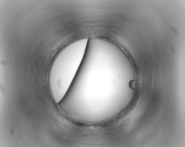 X0000091360737200708101054
