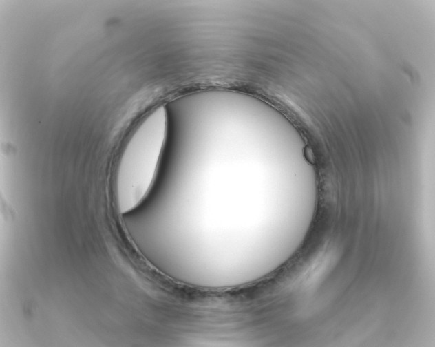 X0000091360738200708101054