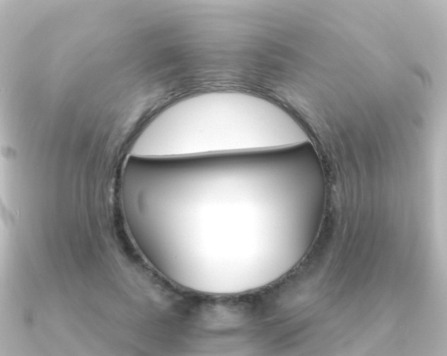 X0000091360739200708101054