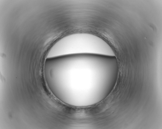 X0000091360740200708101054