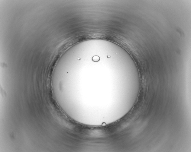 X0000091360741200708101054