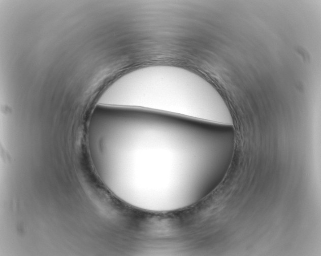 X0000091360742200708101054