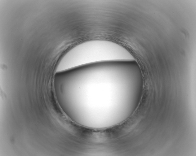 X0000091360744200708101054
